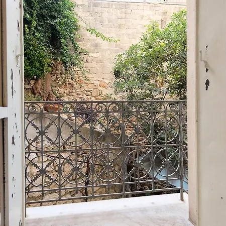 Carnot Beautiful View
